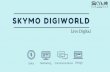 Best SEO Company in Pune-  Skymo Digiworld