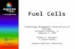 Fuel cells by argonne