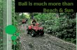Bali is much more than the sun and beach!