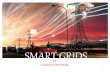 Climate change smart grid-india