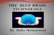The Blue Brain Technology