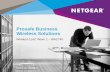 Webinar NETGEAR - Soluzioni Prosafe Business Wireless ed il nuovo AP WAC740