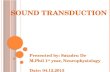 SOUND TRANSDUCTION