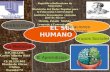 Relaciones Humanas (Cerebro Triuno, grupos sociales, memoria, aprendizaje)