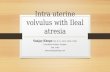 Intra Uterine Volvulus  with Ileal Atresia