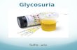 Glycosuria and Polyuria Presentation