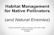 Habitat Mangement for Native Pollinators