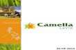 Camella Homes and Communities Leyte (Tacloban, Palo, Ormoc)
