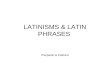 Latin Phrases Pierpaolo & Federico