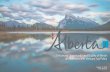 Alberta venture tax policy (v2)   jan 2016