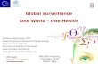 Global surveillance  One World – One Health