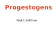 Progestrogens web2