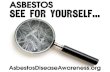 ADAO's "Asbestos: See for Yourself” Photographic Educational Campaign
