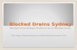 Blocked Drains Sydney: How to proceed in the matter of Plugged Drain pipes