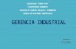 Gerencia industrial definicion