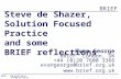 Solution Focused Brief Therapy, Steve de Shazer and BRIEF