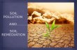 Soil pollution and it's remediation