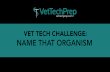Vet Tech Challenge:  Name that Organinism