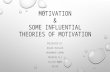 Motivation and motivation theories in sports