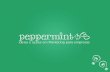Apresentação de serviços - Peppermint 360 (2016)