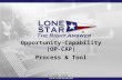 Opportunity Capability Tool and Process, Lone Star Analysis