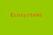 Ecosystems Lesson I