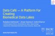 Data Café — A Platform For Creating Biomedical Data Lakes