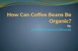 How Can Coffee Beans Be Organic?