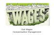 Fair wages -  compensation management - Manu Melwin Joy
