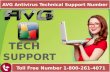 Avg antvirus technical support number 1 800-261-4071