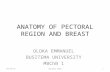 Pectoral region and breast surgical anatomy