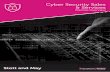 Stott and May Cyber Security Sales Practice Overview