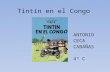 Tintin en el congo antonio ceca