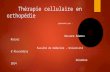 Thérapie cellulaire en orthopédie