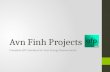 Avn Finh Projects Profile