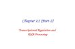 Chemistry 21.2-Transcriptional-regulation-and-rna-processing