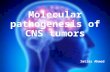 Molecular pathogenesis of  CNS tumors