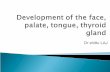Development of the Face, Tongue, Palate, Thyroid gland