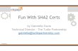 Fun With SHA2 Certificates