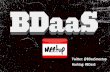 The Emergence of Big-Data-as-a-Service: It's BDaaS