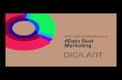 Digilant-Data Real Time Marketing