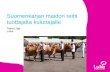 Suomenkarjan maidon reitti tuottajalta kuluttajalle - Taina Lilja, Luke