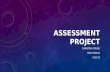 Assesment Project