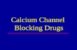 Calcium channel blockers (1)