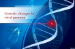 Genetic changes in the viral genome