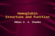 Hemoglobin Structure and Function