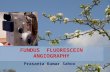Fundus  Fluorescein Angiography