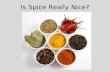 Is spice really nice