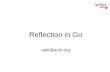 Reflection in Go
