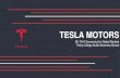 Global Economic - Tesla motors